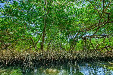 Similar image 20975439