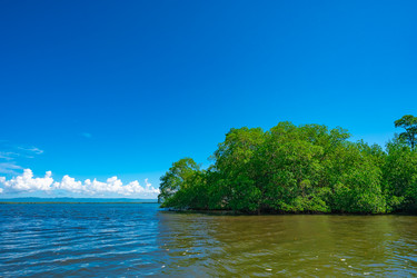 Similar image 20975440