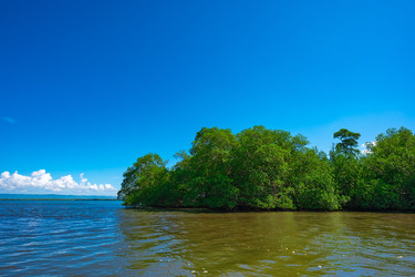 Similar image 20975441