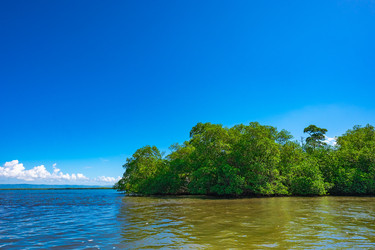 Similar image 20975442