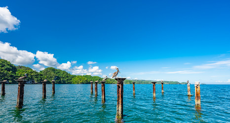 Similar image 20975565