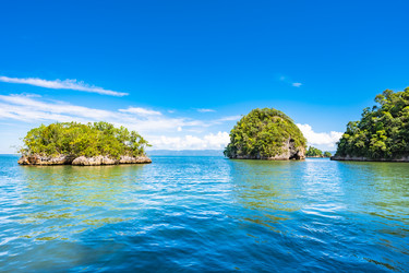 Similar image 20976710