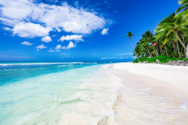 Similar image 21003607