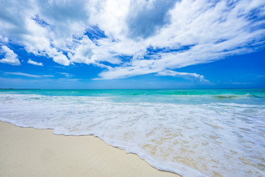 Similar image 21003678