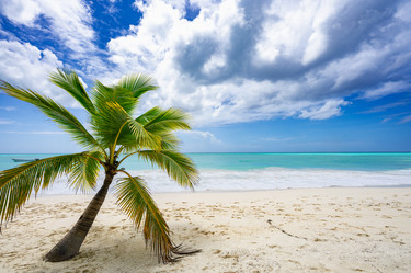 Similar image 20973072