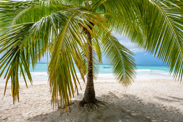 Similar image 20973073