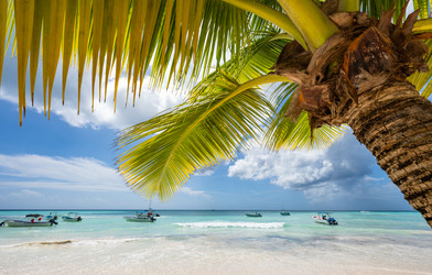 Similar image 20973074