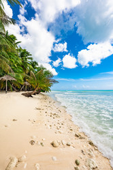 Similar image 20973076