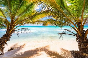 Similar image 20973106