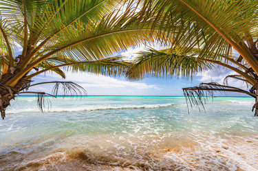 Similar image 20973107