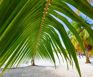 Similar image 20973109