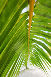 Similar image 20973110