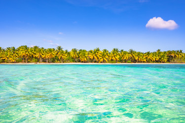 Similar image 20973112