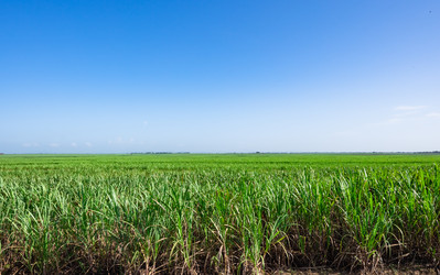 Similar image 20973147