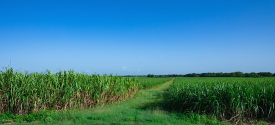 Similar image 20973148