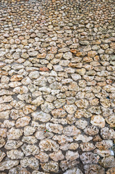 Similar image 20993092