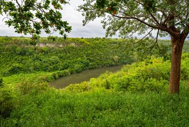 Similar image 20994490