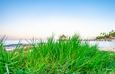 Similar image 20993117