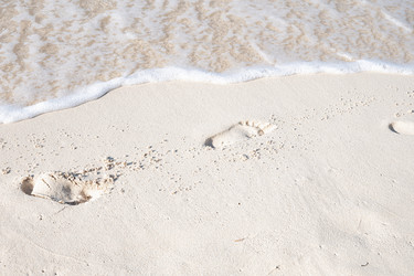 Similar image 20994500