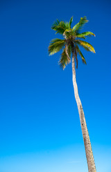 Similar image 20994503