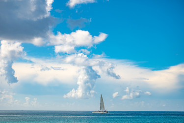 Similar image 20994509