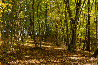 Similar image 20978977