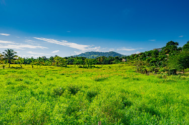 Similar image 20973208