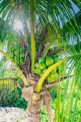 Similar image 20973210