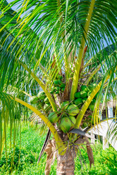 Similar image 20973212