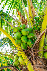 Similar image 20973213