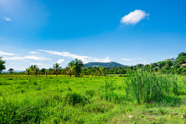 Similar image 20973248