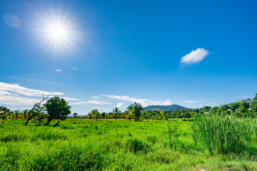 Similar image 20973249