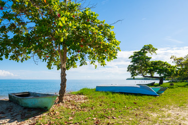 Similar image 20973250