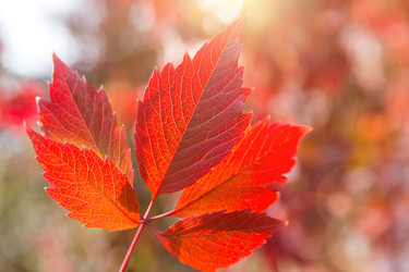 Similar image 20984390