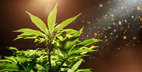 Similar image 20985034