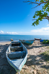 Similar image 21001192