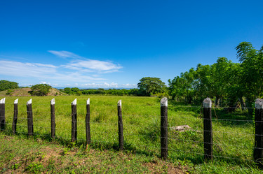 Similar image 21001194