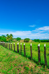 Similar image 21001215