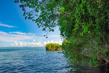 Similar image 21001257