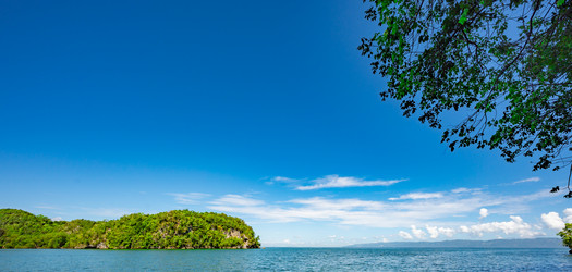 Similar image 21001258