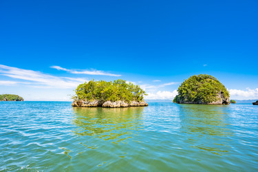 Similar image 21001260