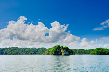 Similar image 21001313