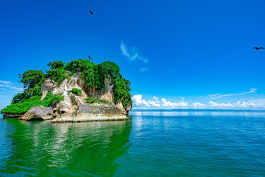 Similar image 21001316