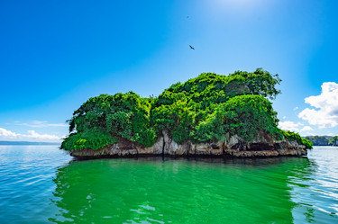 Similar image 21001322