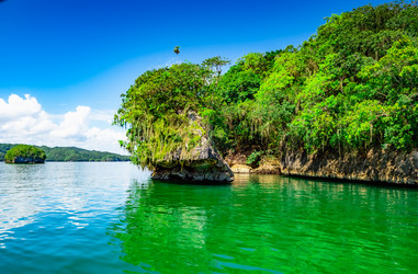 Similar image 21003618