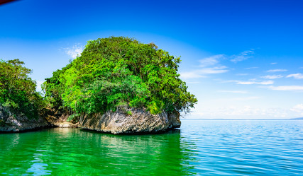 Similar image 21003620