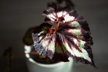 Similar image 20982389