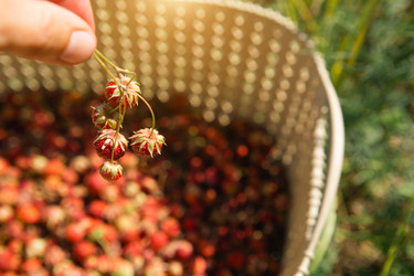 Similar image 20982579