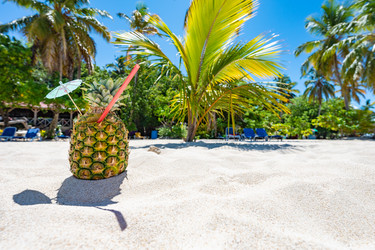 Similar image 20975576