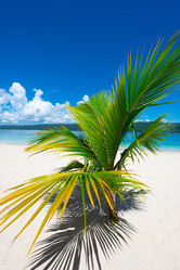 Similar image 20975584